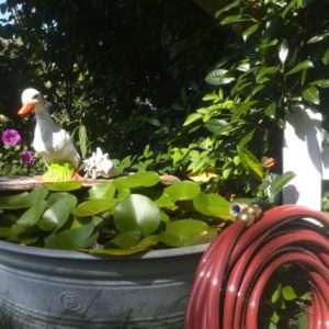 20m-Profi-Gartenschlauch-mit-Messingverbindungselementen-in-rot-braun