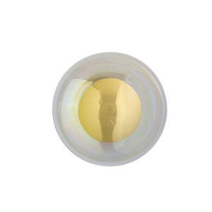 21CM-CHAMELEON-WITH-GOLD-front