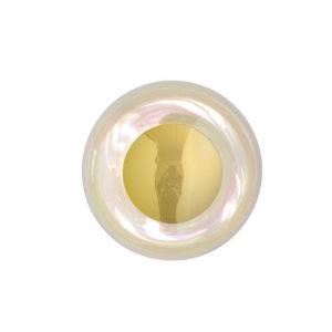 21CM-CHAMELEON-WITH-GOLD-front-on