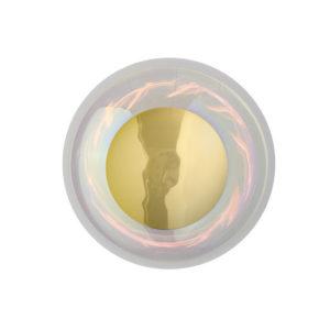 29CM-CHAMELEON-WITH-GOLD-front-on