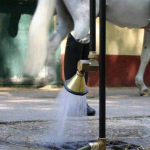 Dusche-f-Reitstiefel-u-Gummistiefel