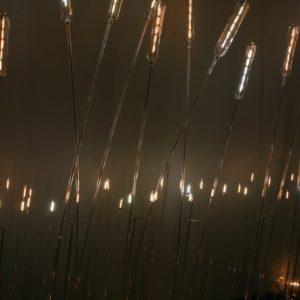 Lichtinseln-in-der-reihe