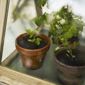 Spira-zimmergew-chshaus