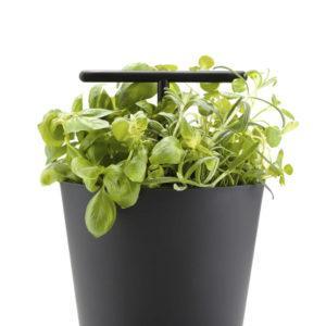 Sp-l-Set-Bucket-von-Zone-Denmark-aus-Skandinavien-65