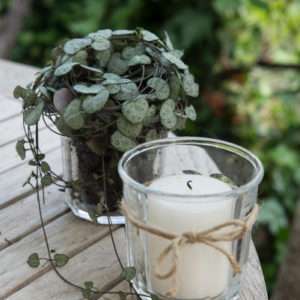 Stumpenkerze-von-Ib-Laursen-im-Glas