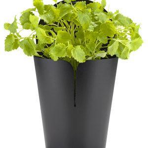 Wall-Bucket-von-Zone-Denmark-aus-Skandinavien-5