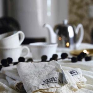 kardelen_AW20145634-kopiera_mod2