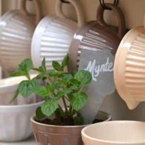 mynteefterr2012_08b55a7c55dbf105