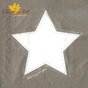 servietten-star-taupe-front56277f4353c3f
