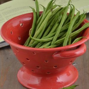 sieb_strawberry_mod55a7c583439bd