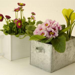 zink_einschub_doppel_mod55a7c4f560beb