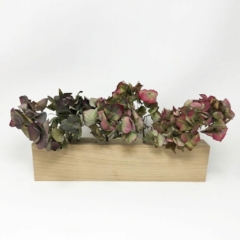 Blumenwiese Benka Blumenwiese Benka