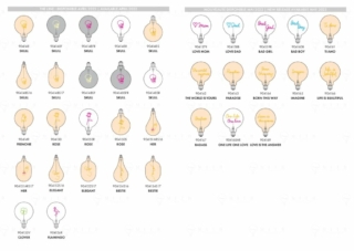 Tischlampe LED Dekolicht von Flamingo and Skull