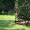 Rasengrenze Garten nostalgische Bordurette